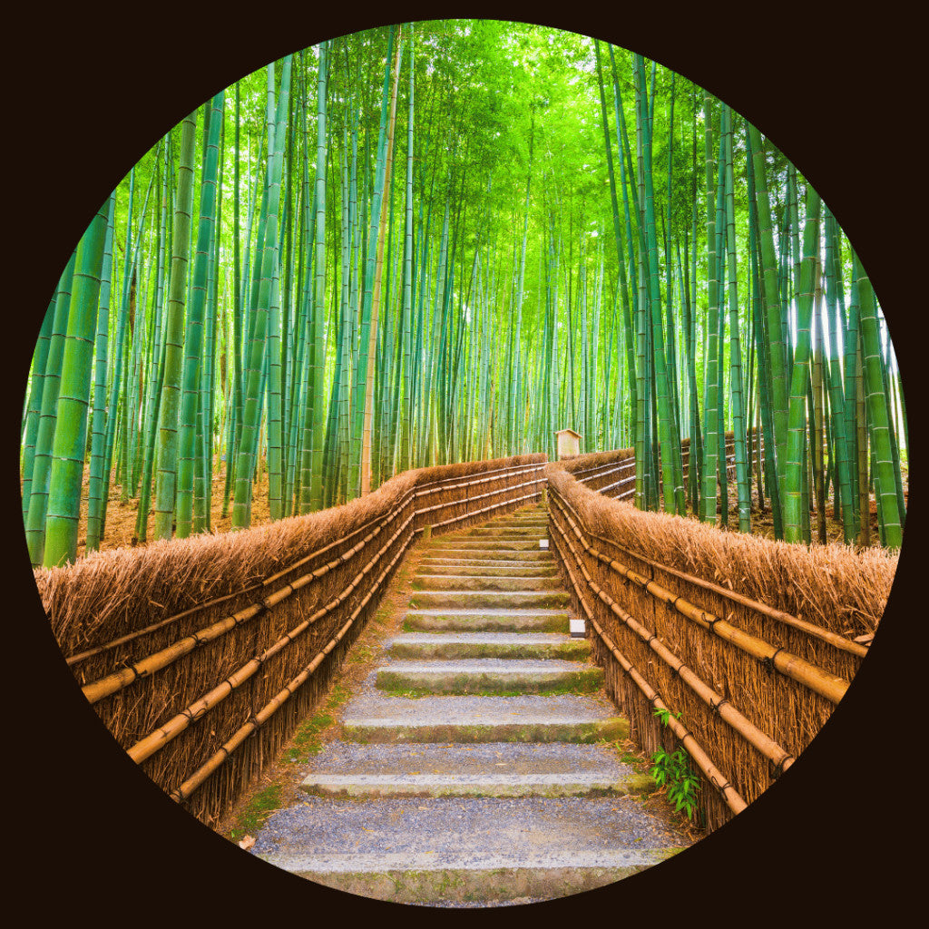 Bambu