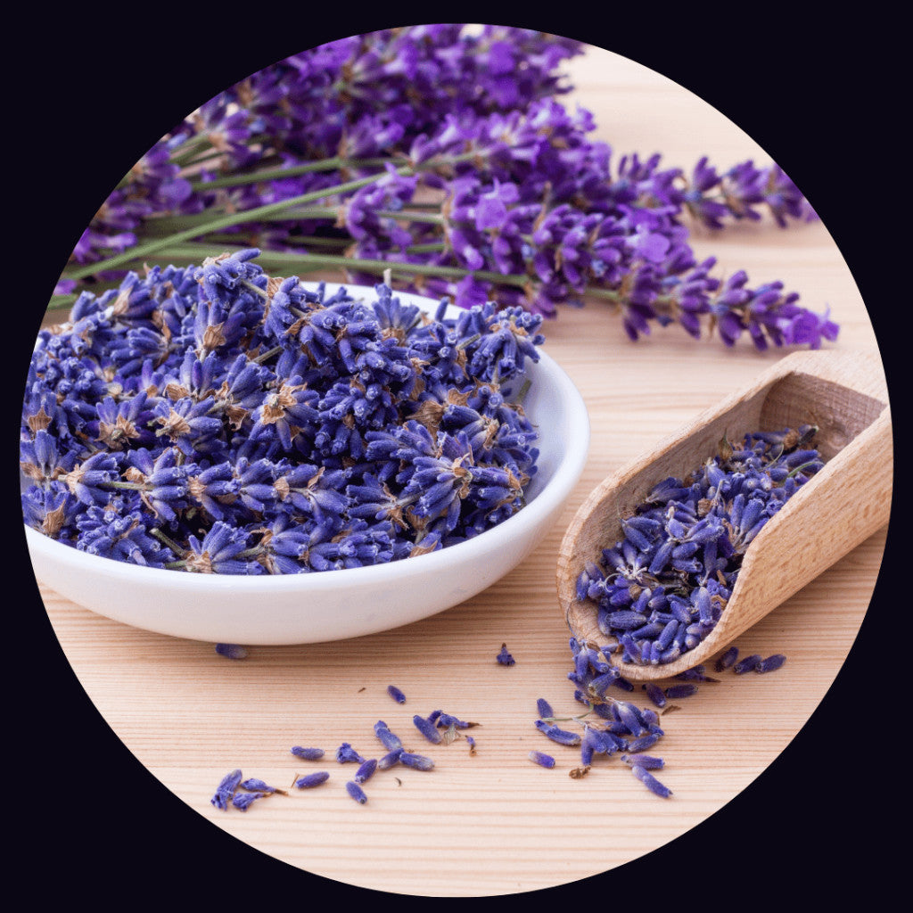 Lavendel